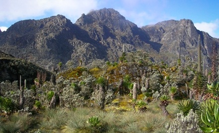 4 days rwenzori hike